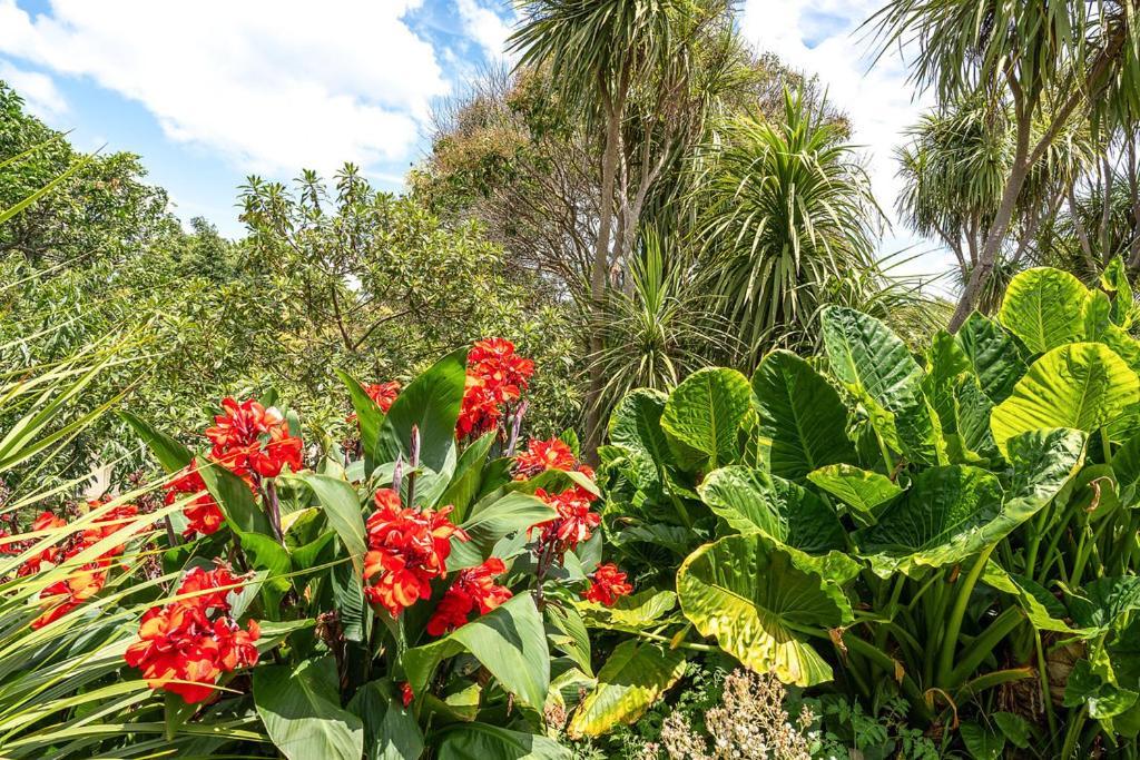 Oneroa Bay Villa Waiheke Luaran gambar