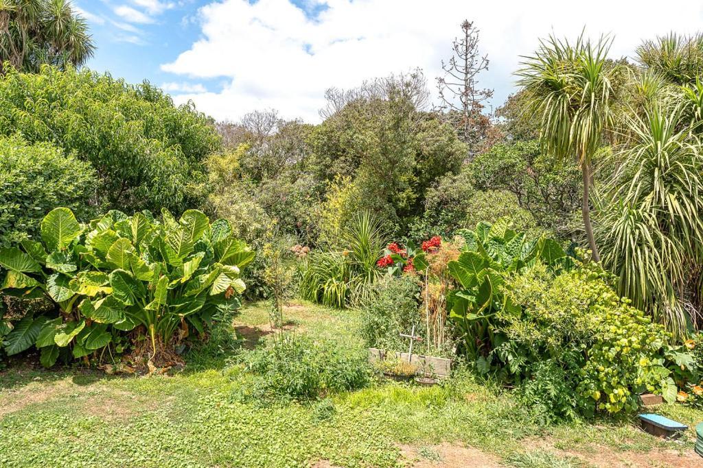 Oneroa Bay Villa Waiheke Luaran gambar