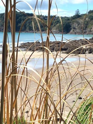 Oneroa Bay Villa Waiheke Luaran gambar