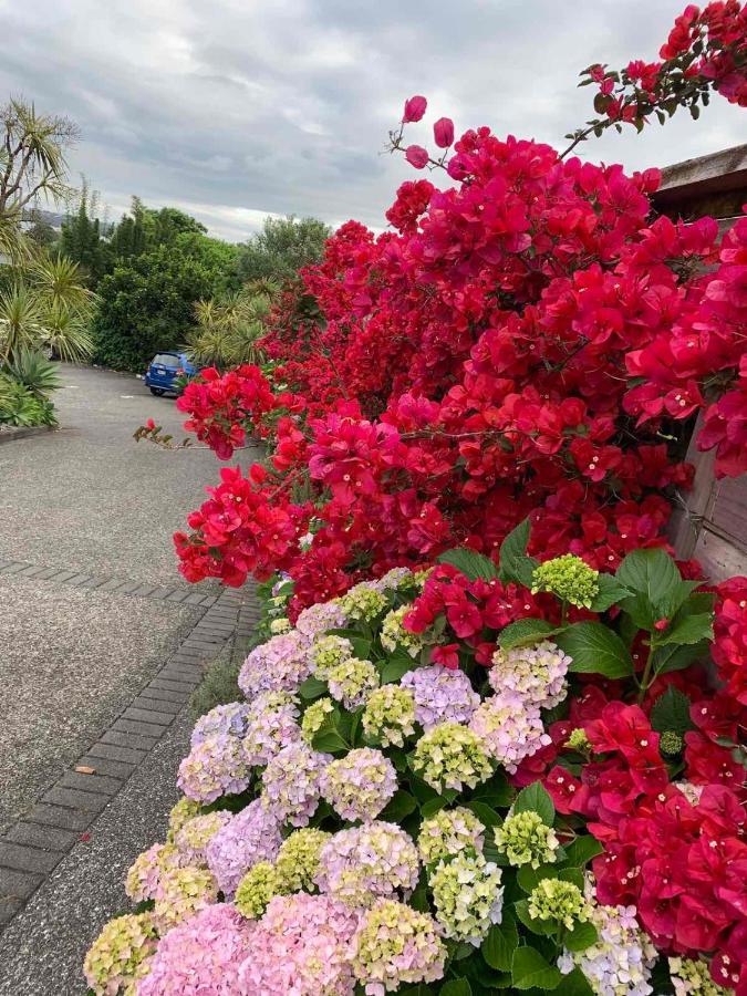 Oneroa Bay Villa Waiheke Luaran gambar